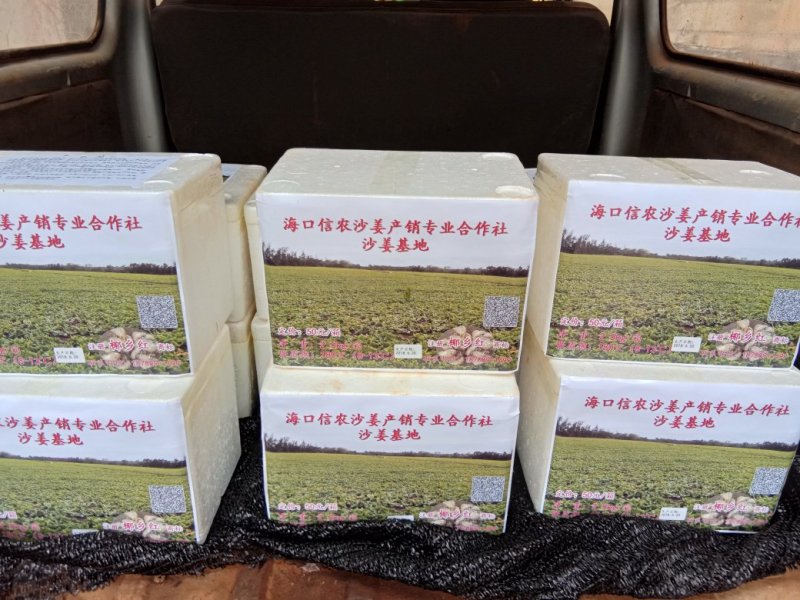 海口信农沙姜产销专业合作社产品