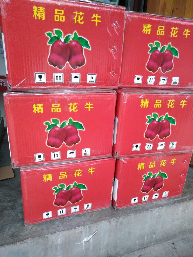 （新花牛）市场通货走量每天都能走车，产量大，按需包装。