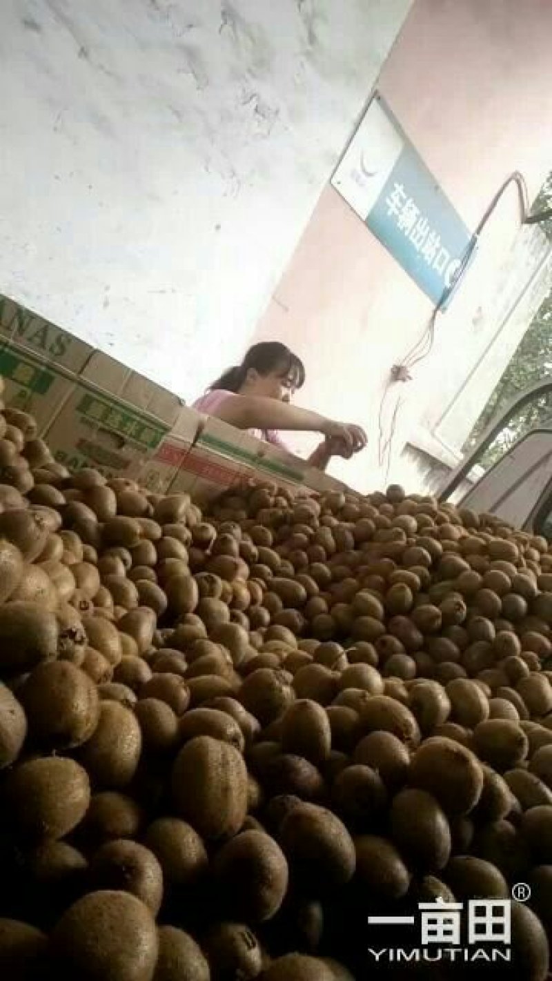 、