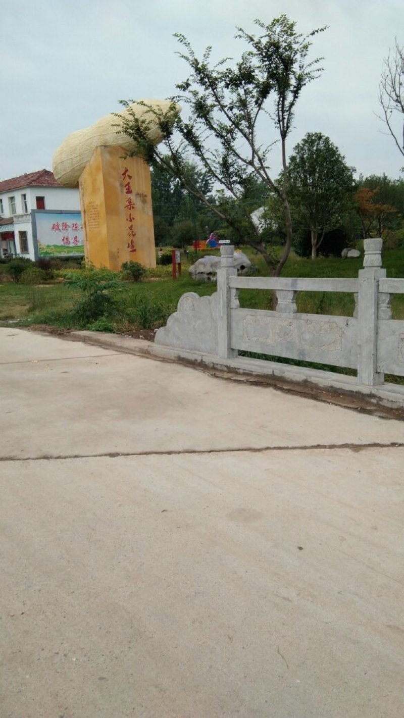 花生大量上市
