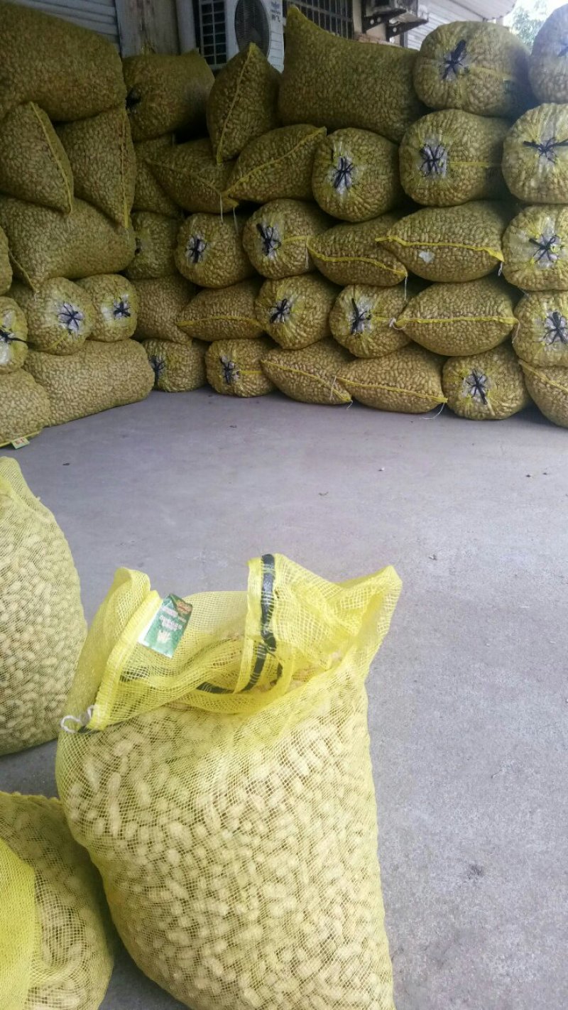 大量供应大白沙四粒红鲜花生，产地直发，量大从优