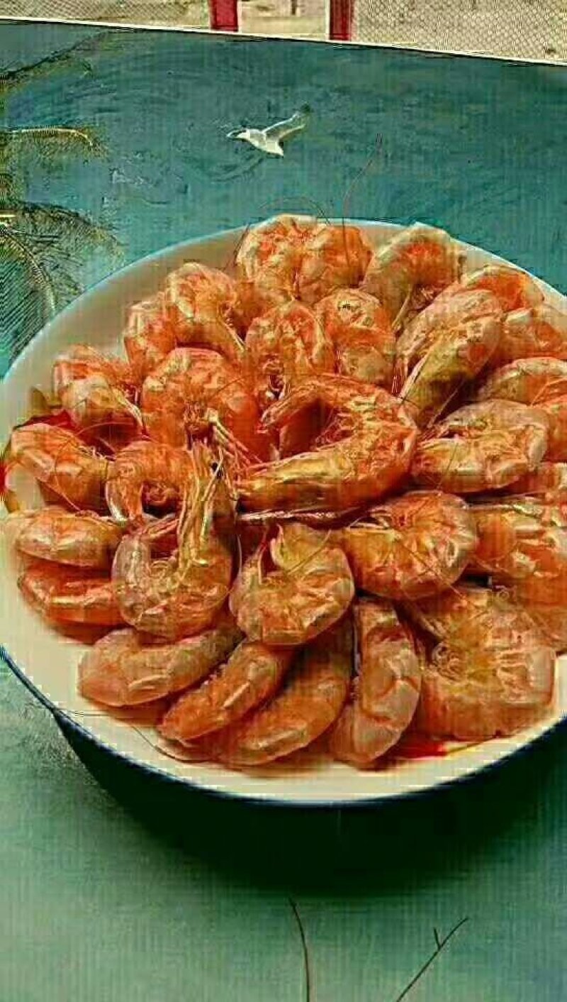 沾化冬枣