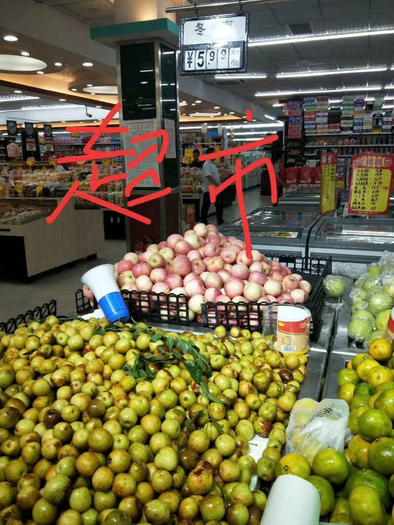 沾化冬枣