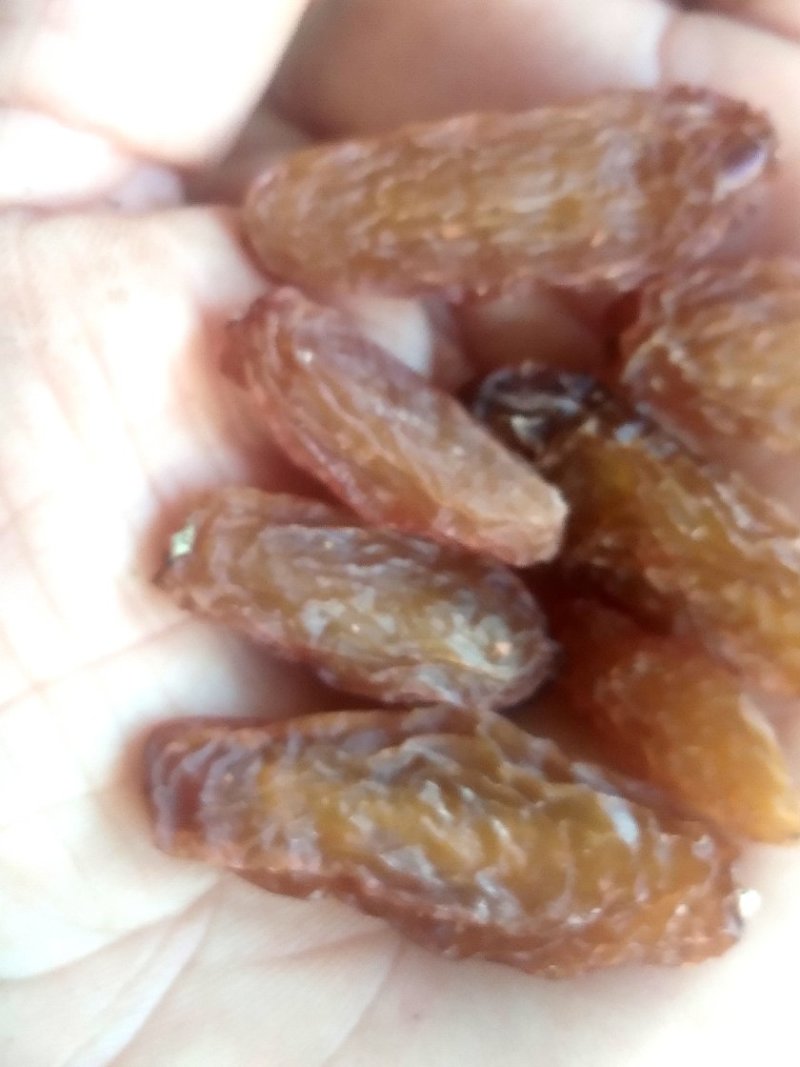 批发新疆吐鲁番新货红香妃葡萄干红香妃王