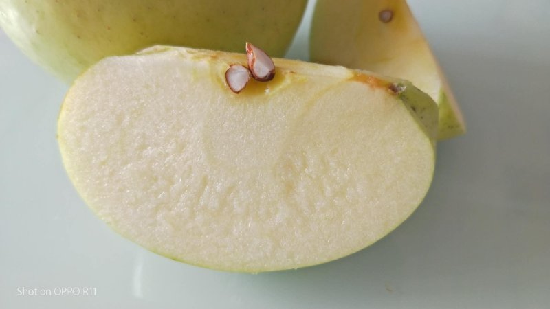 水蜜桃苹果树苗直径1cm～2cm的苹果树