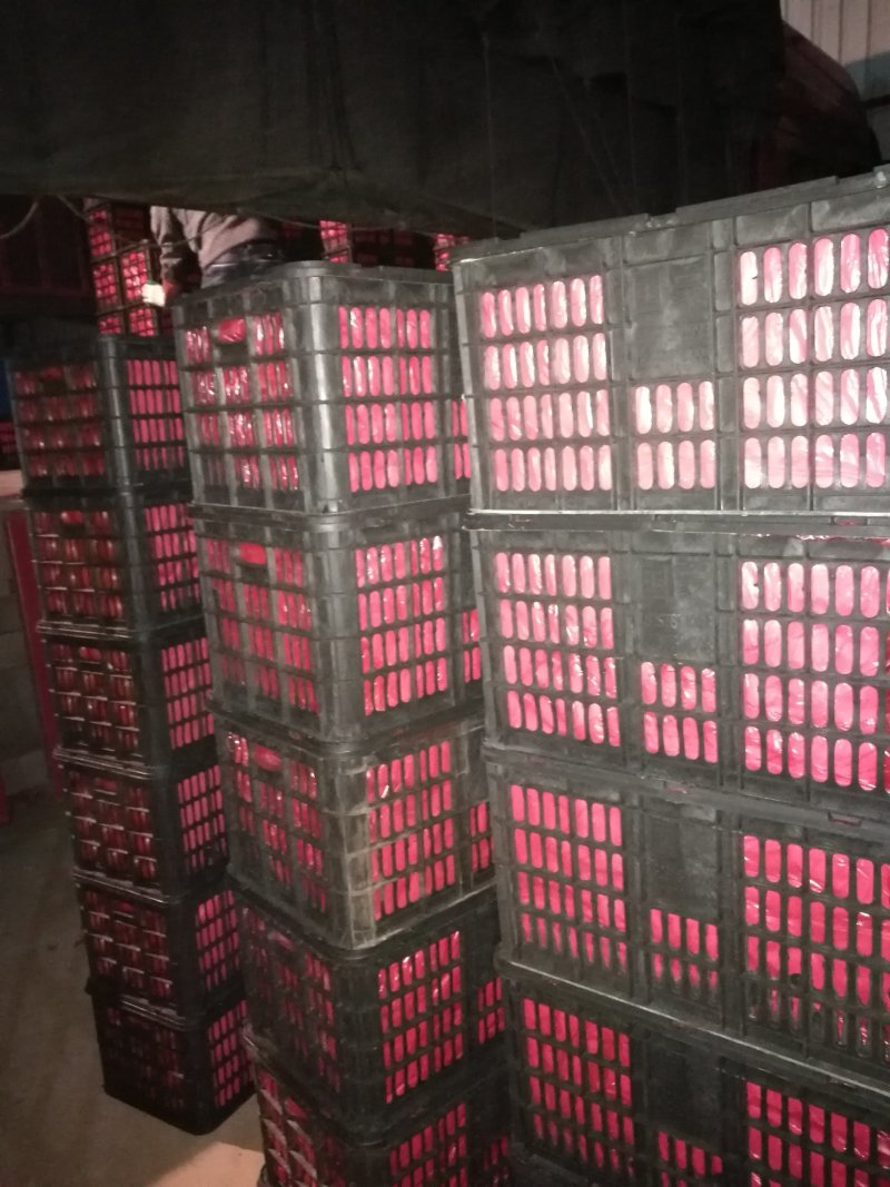 西红柿硬粉