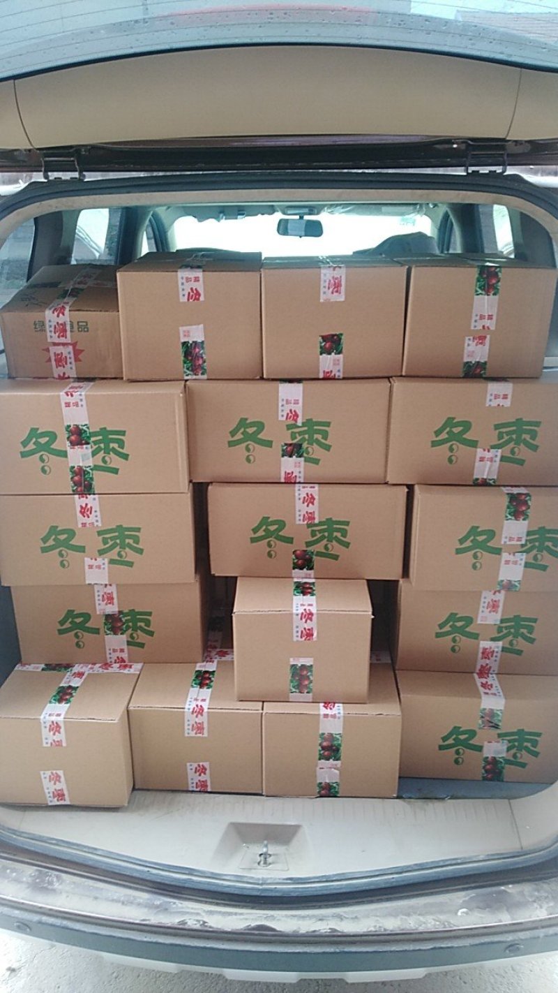 沾化冬枣