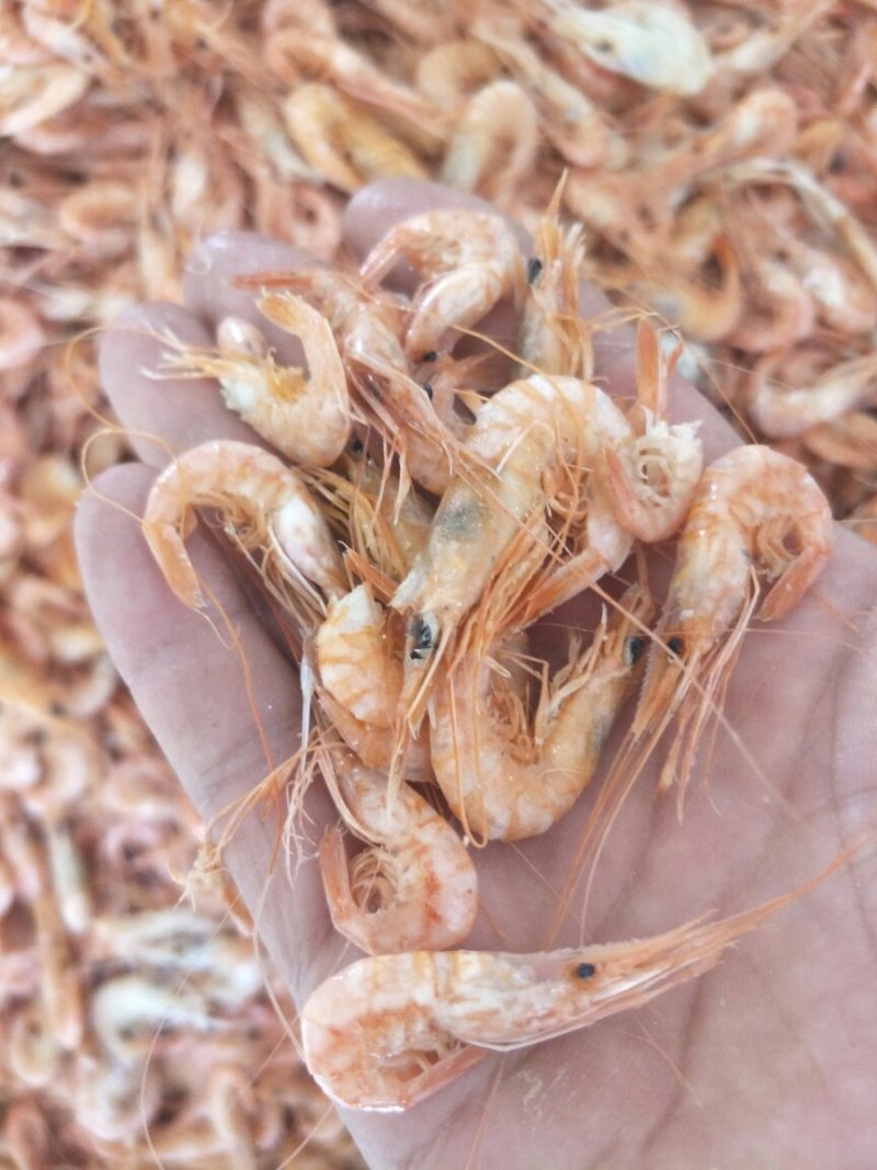 红虾