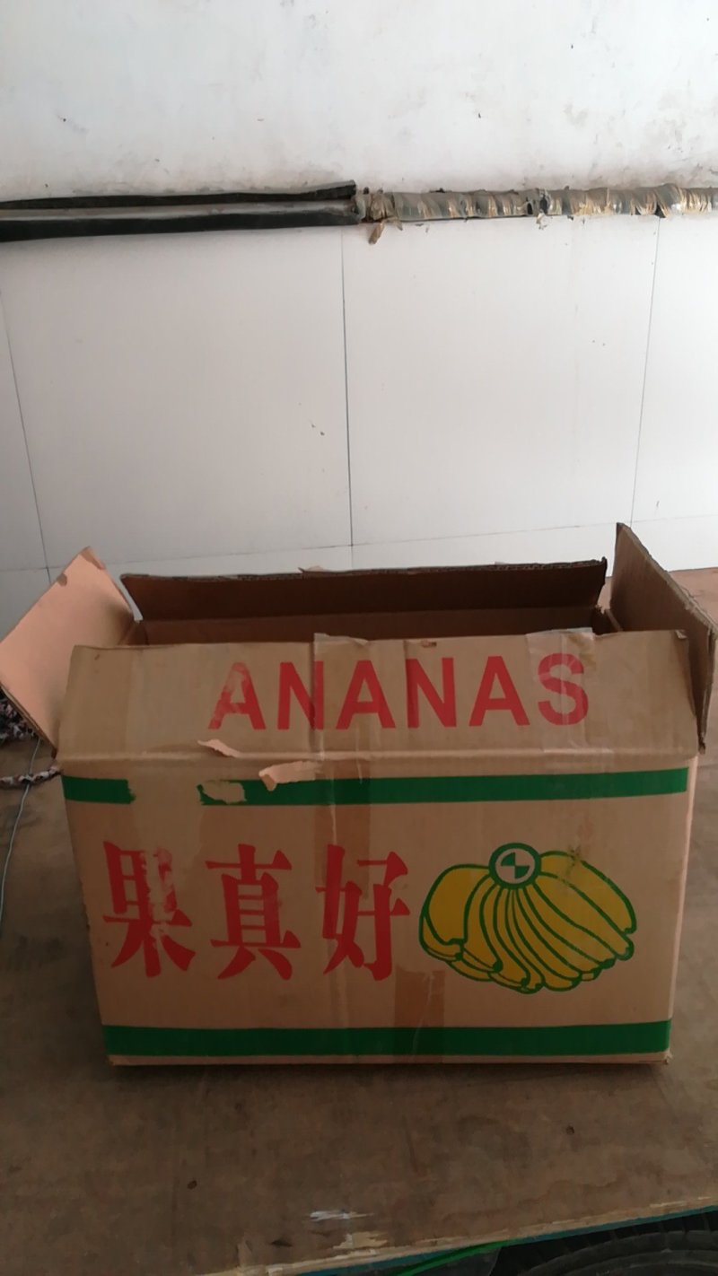 二手香蕉箱