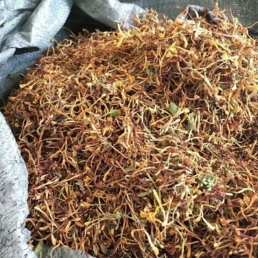 云南丽江野生金银花一斤250块