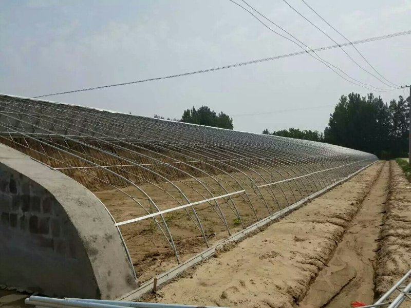 日光温室，温室大棚，大棚建设，大棚厂家，大棚，温室建设