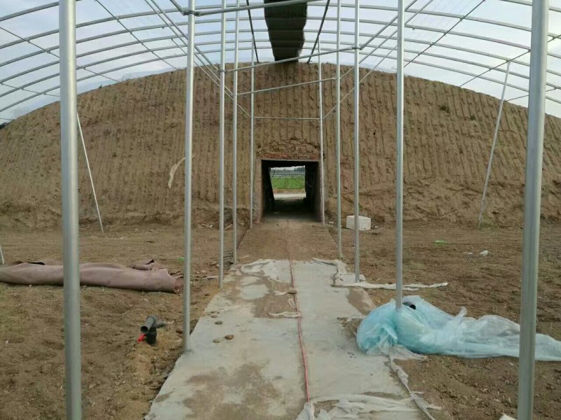 日光温室，温室大棚，大棚建设，大棚厂家，大棚，温室建设