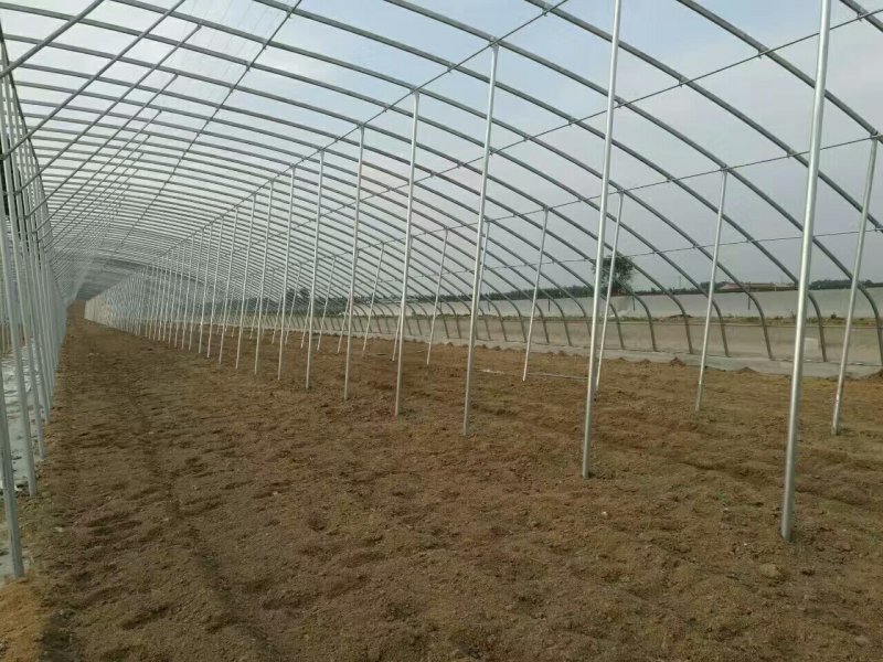 日光温室，温室大棚，大棚建设，大棚厂家，大棚，温室建设