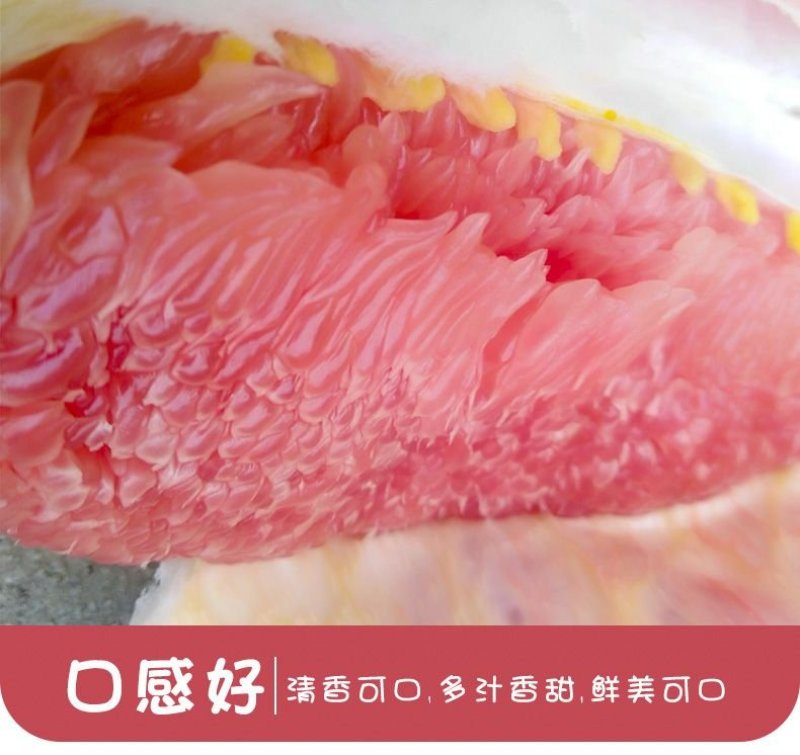 广西柚子，皮薄河池红心柚环江香柚红心蜜柚