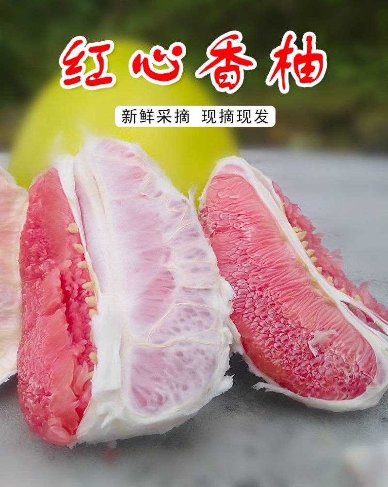 广西柚子，皮薄河池红心柚环江香柚红心蜜柚