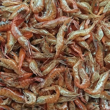 湖南湘西一级野生干河虾