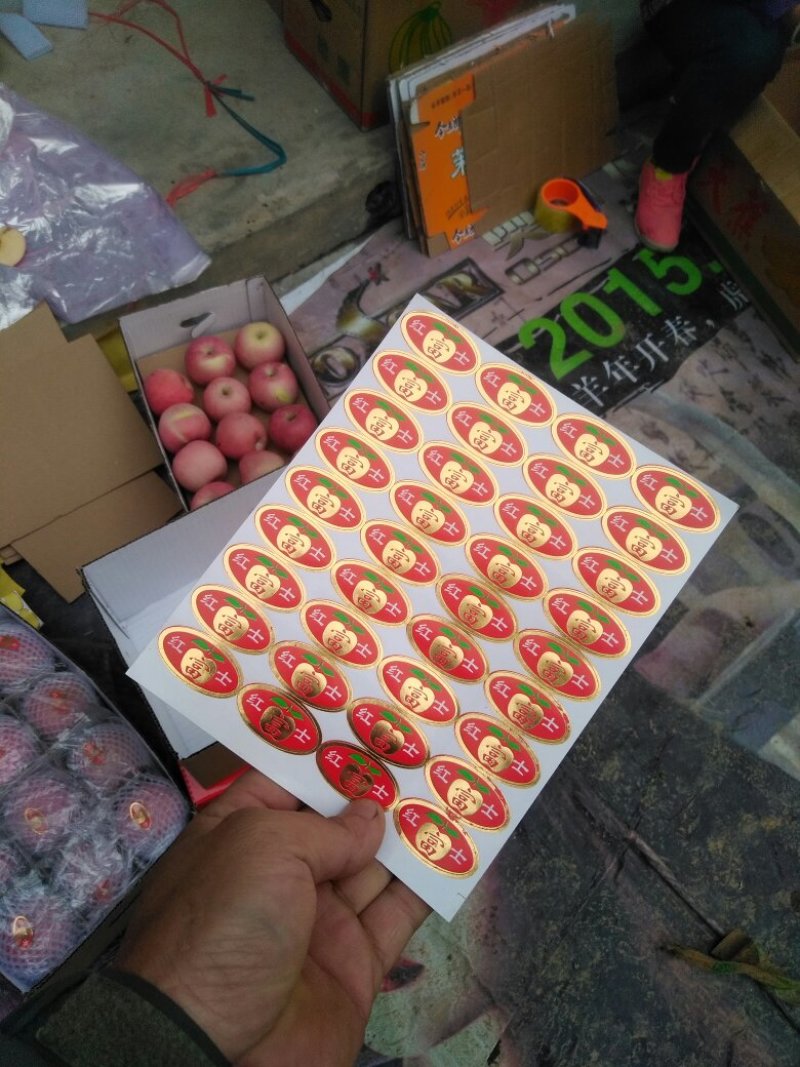 大量批发洛川苹果