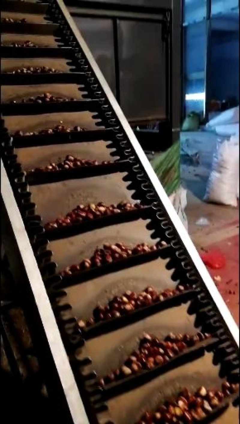 核桃种苗，核桃种，桃核种，桃种子，樱桃种子，樱桃嫁接苗