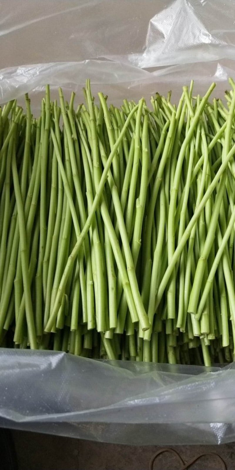 芦蒿，鲜嫩美味