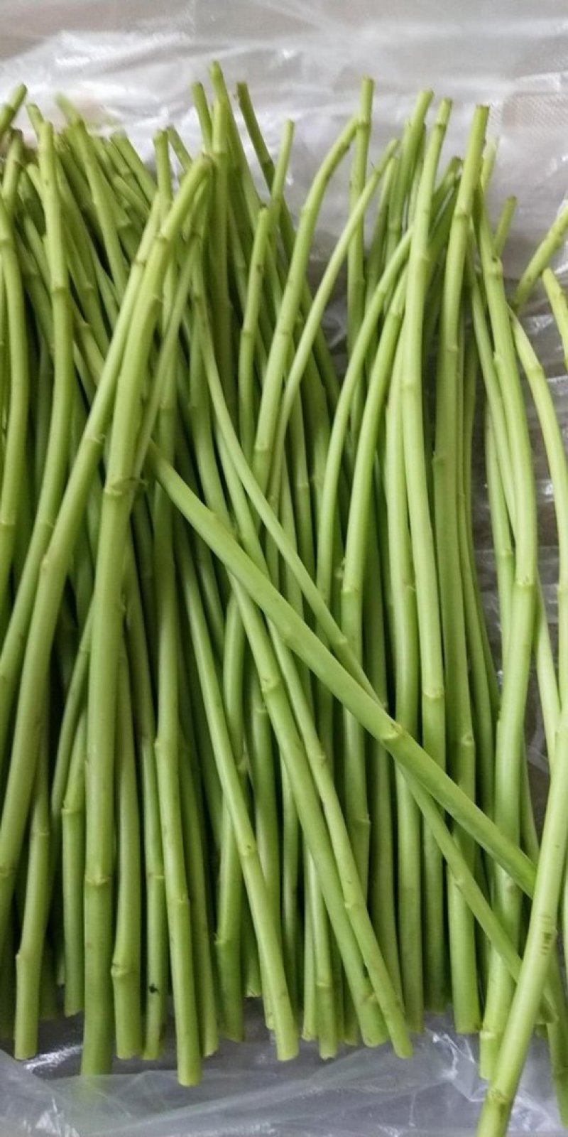 芦蒿，鲜嫩美味