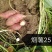 红薯无公害标准