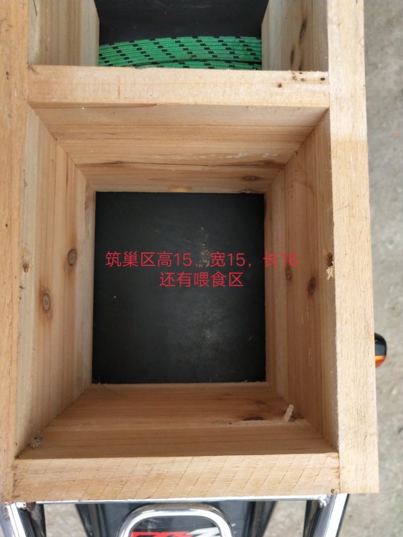 葫芦蜂，金环，马蜂，杀人蜂筑巢箱