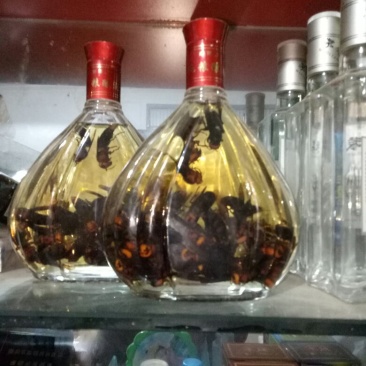 供应纯正土蜂蜜，土蜂酒，红娘蜂王，葫芦蜂王。长期支持技术