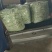 豆角精品白芸豆角大量上市产地直销质量保证全国发货