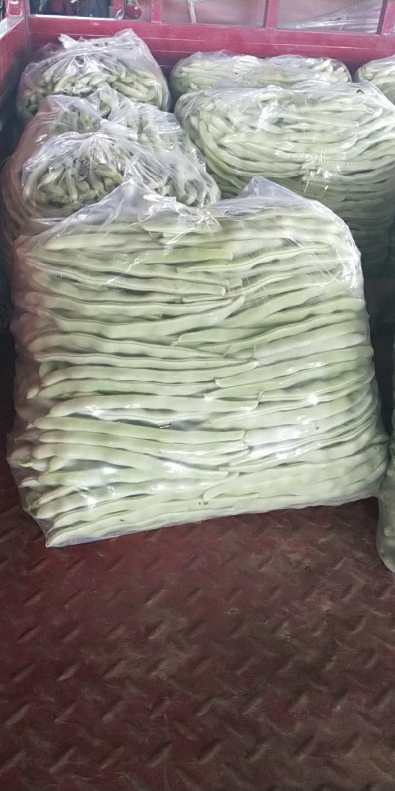 豆角精品白芸豆角大量上市产地直销质量保证全国发货