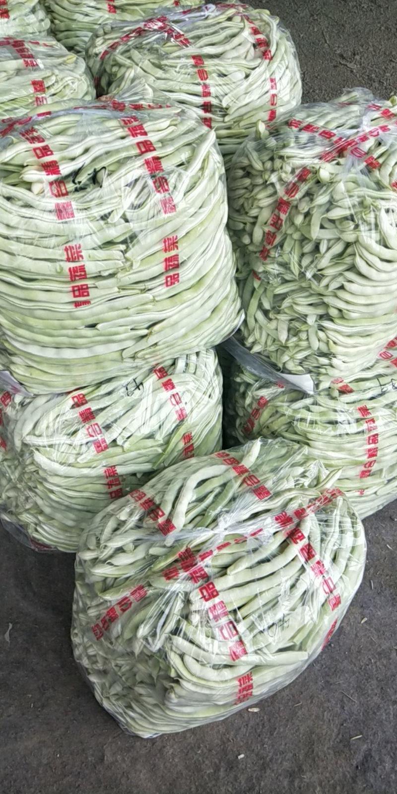 豆角精品白芸豆角大量上市产地直销质量保证全国发货
