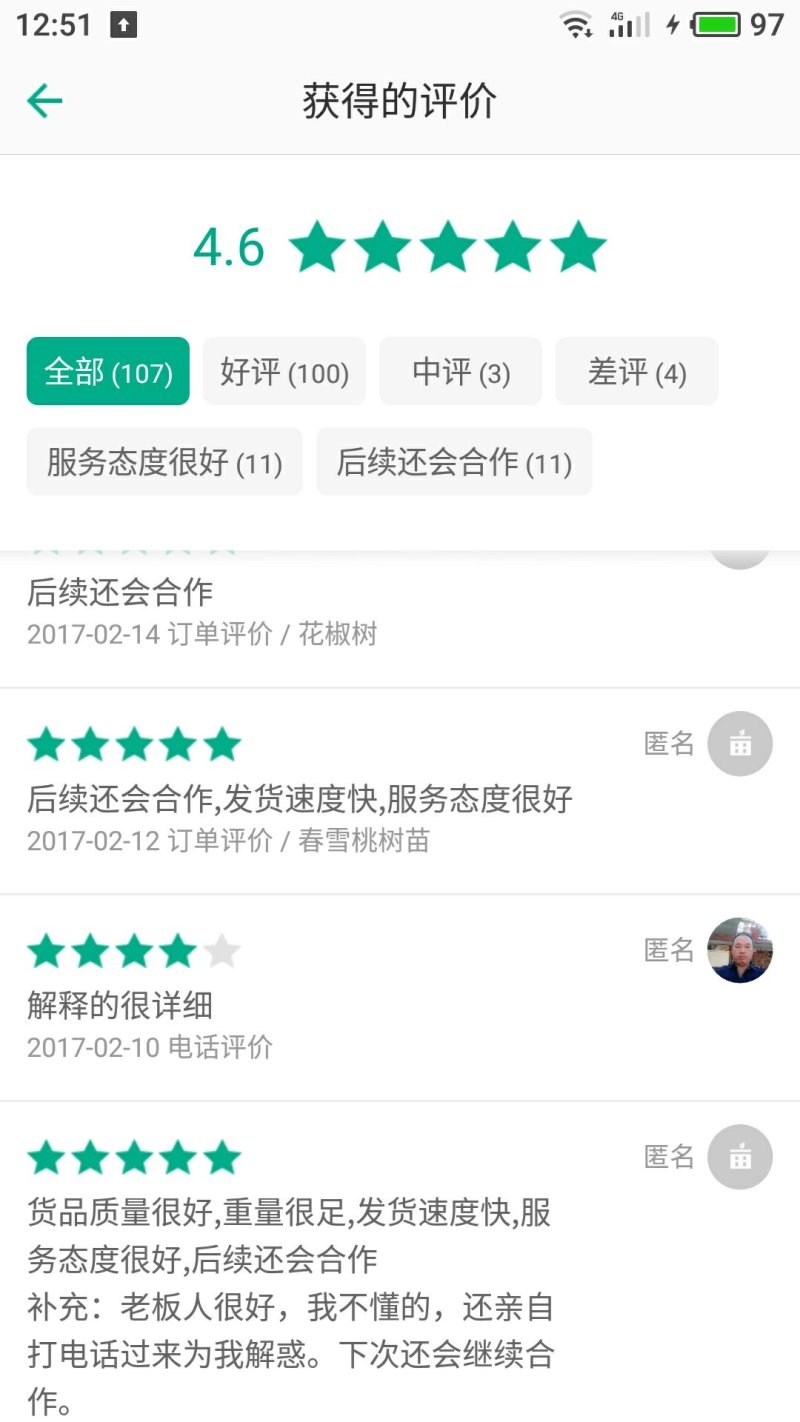 黄桃苗桃苗新品种桃苗桃树果树苗80cm以上