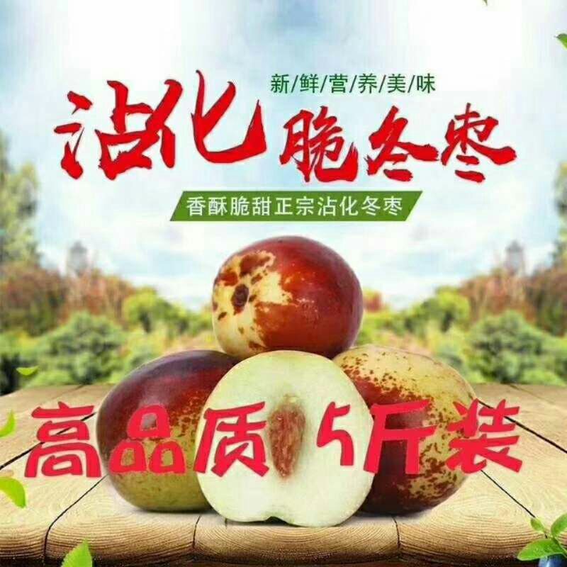 沾化冬枣