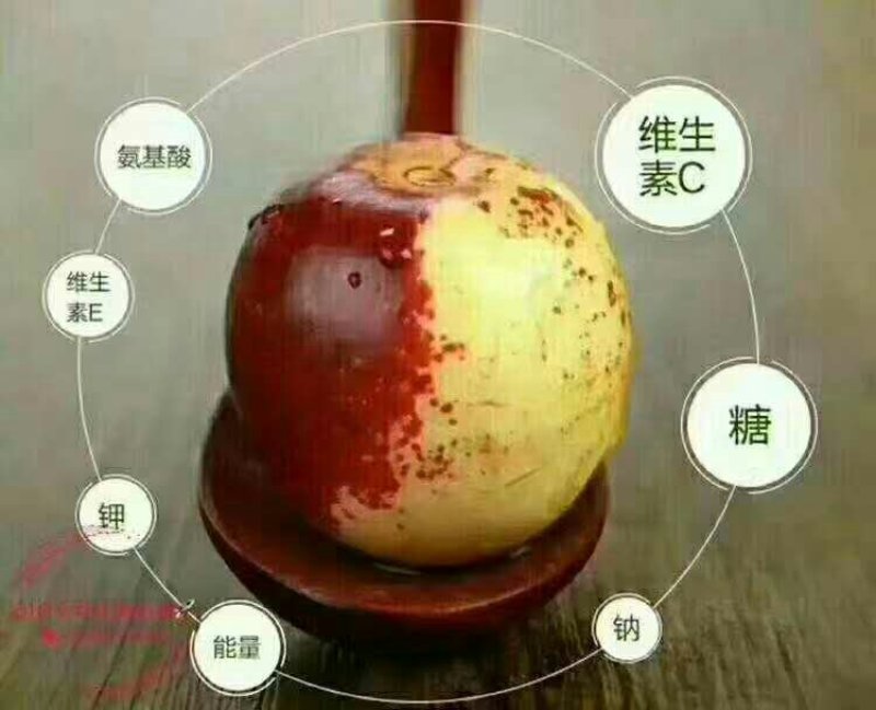 沾化冬枣