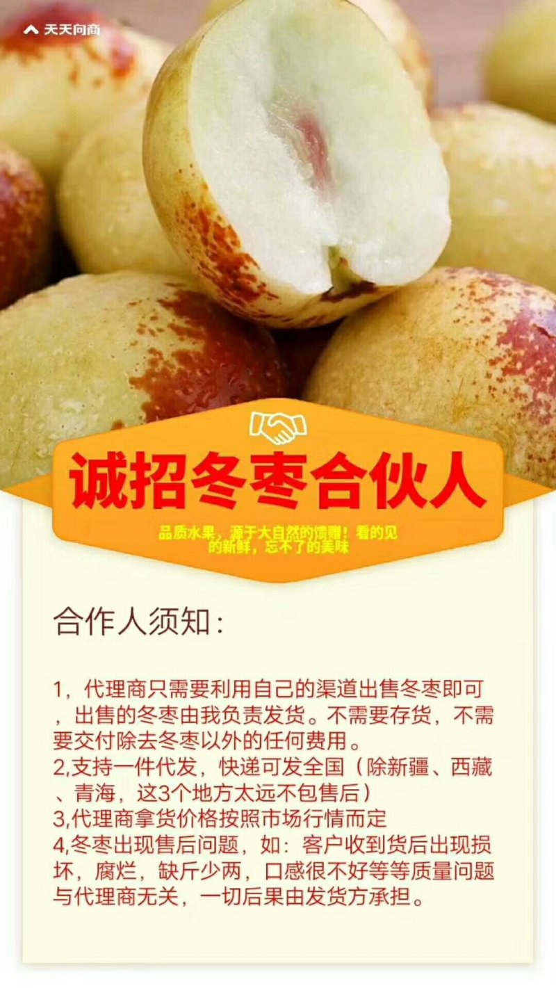 沾化冬枣