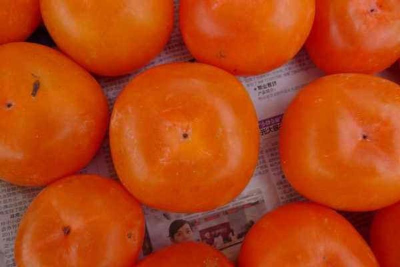 桂林红柿