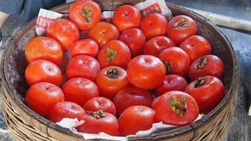 桂林红柿