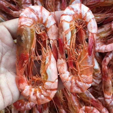干虾和干虾肉