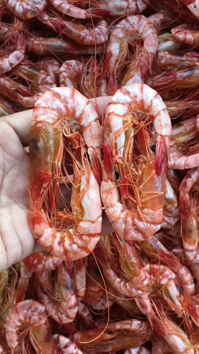 干虾和干虾肉