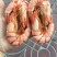 干虾和干虾肉