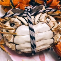 阳澄湖大闸蟹