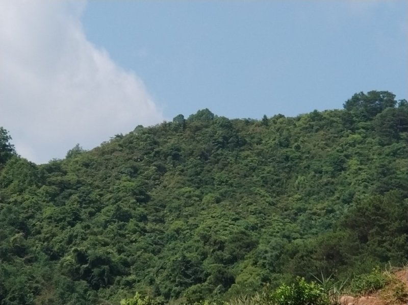 山地出租