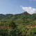 山地出租