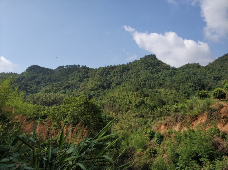 山地出租