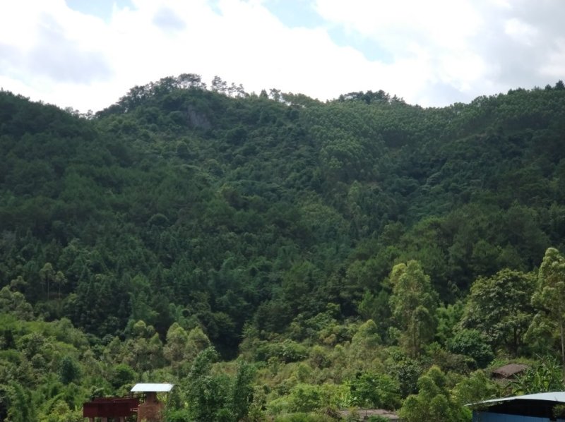 山地出租