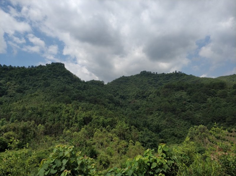 山地出租