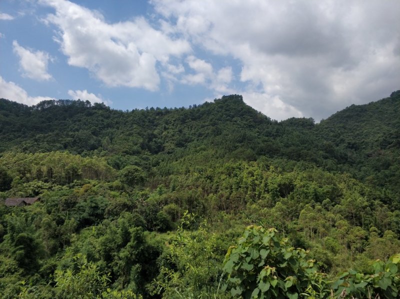 山地出租