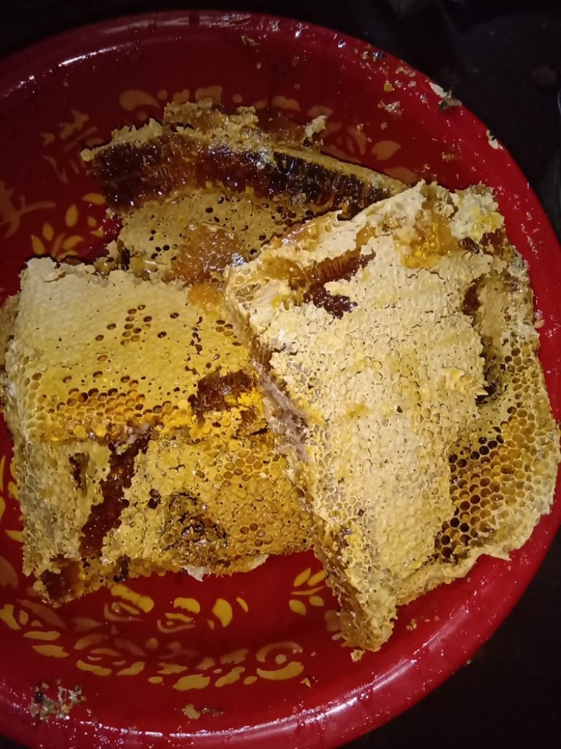 农家自产自销的一年产土蜂蜜