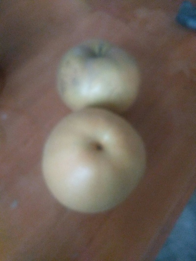 晚秋黄梨