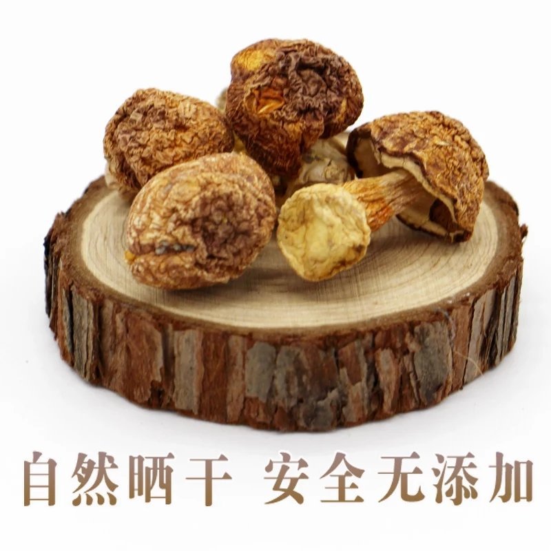 68一斤姬菇批发姬松茸干货新货巴西菇野生松茸姬松茸无硫