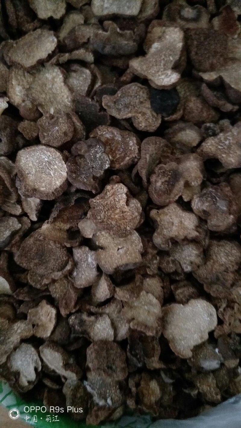 松露干片